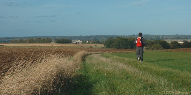 St Denis d'Aclon (Chemin)