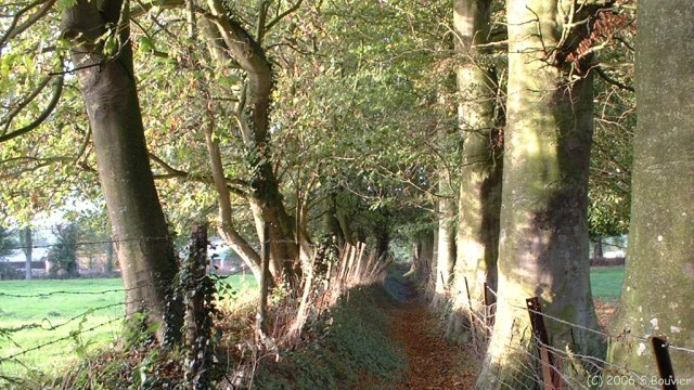 Longueil (Sente)