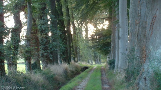 Longueil (Chemin 1)