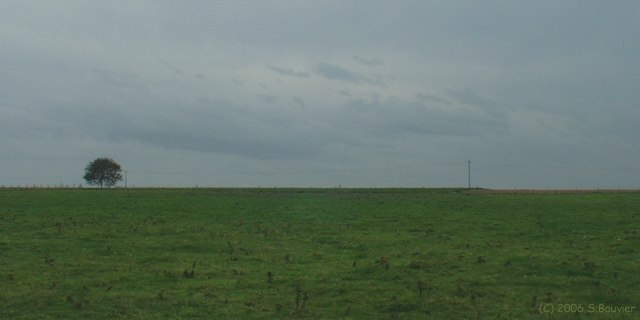 Gueures (Prairie)