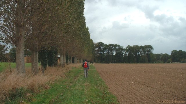 Avremesnil (Chemin)