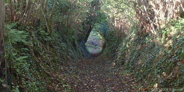 Lénault (Sentier)