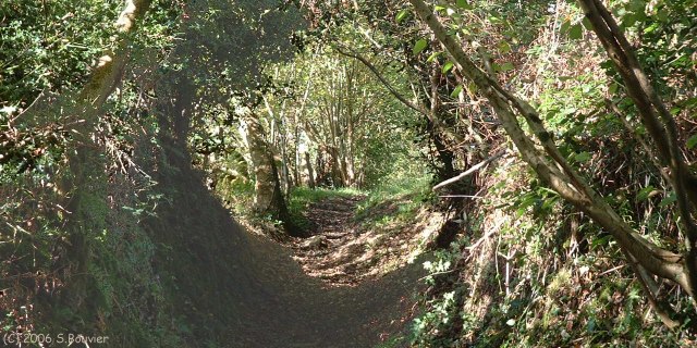 St Jean le Blanc (Sentier 1)