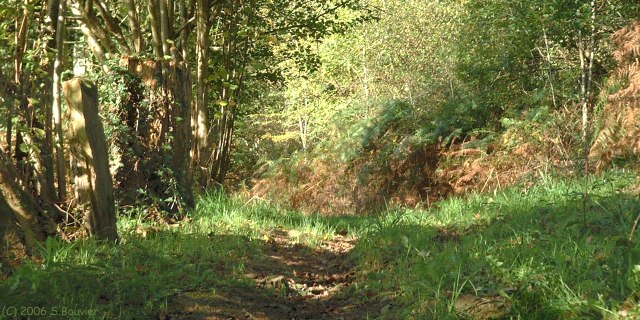 St Jean le Blanc (Sentier 2)