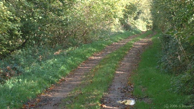 St Jean le Blanc (Chemin 1)