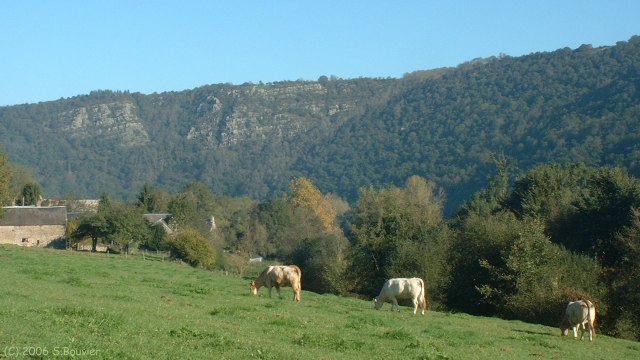 Clécy (Vaches)