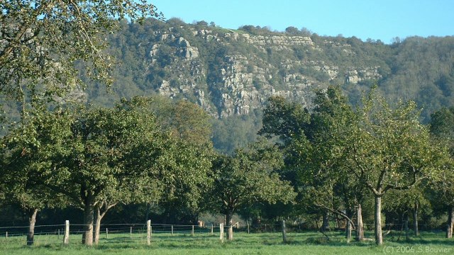 Clécy (Verger)