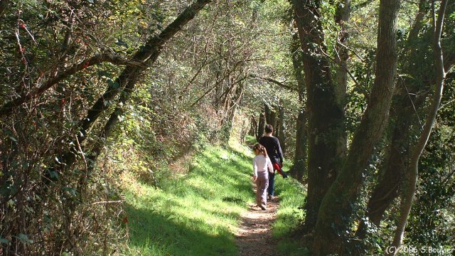 Clécy (Sentier 2)