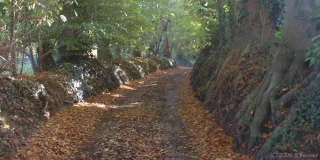St Pierre le Vieux (Sente)