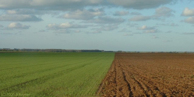 Crasville la Rocquefort (Plaine 2)