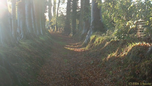 Crasville la Rocquefort (Chemin 1)