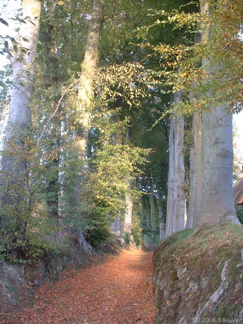Crasville la Rocquefort (Chemin 2)