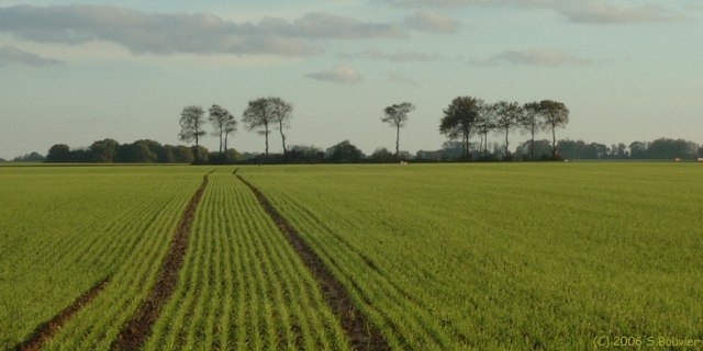 Crasville la Rocquefort (Plaine 3)