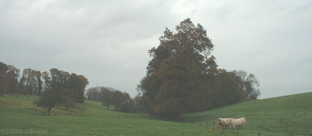 Bourville (Fond)
