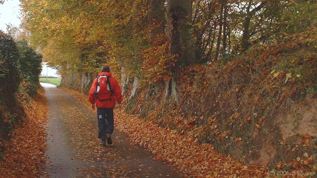 Anglesqueville la Bras Long (Route)