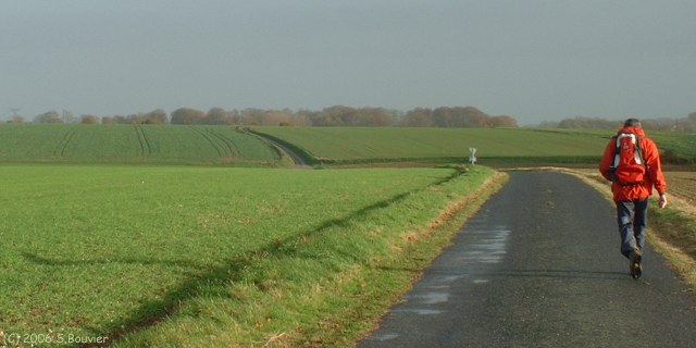 Gonzeville (Route)
