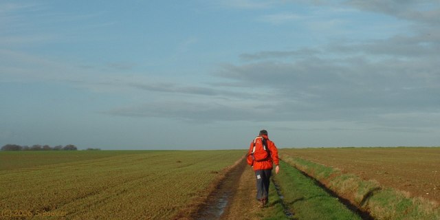 Gonzeville (Chemin)