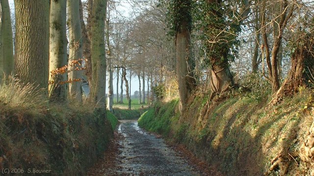 Drosay (Chemin 1)