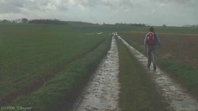 Drosay (Chemin 2)