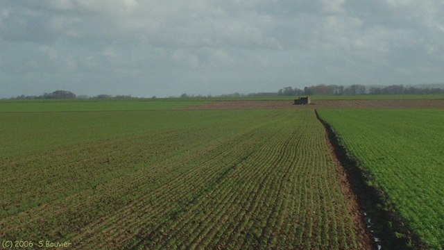Sasseville (Ruines)