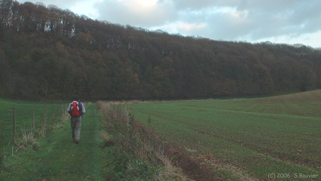 Bosville (Chemin 2)