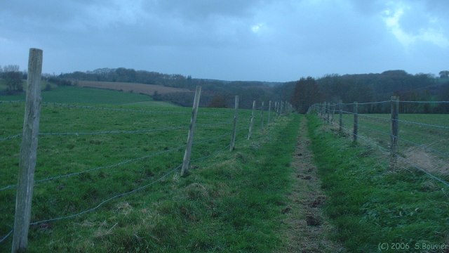 St Vaast Dieppedalle (Chemin)