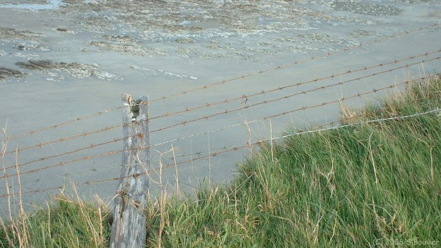 St Aubin sur Mer (Clôture)
