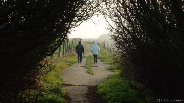 St Aubin sur Mer (Chemin)