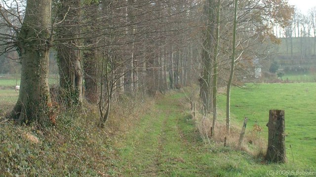 St Pierre le Vieux (Chemin)