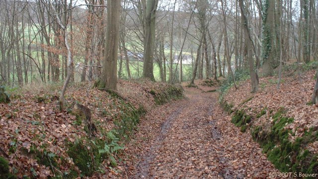 Clères (Chasse-Marée)