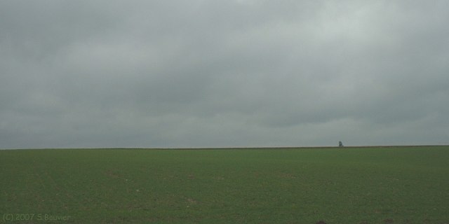 Le Bocasse (Arbre)