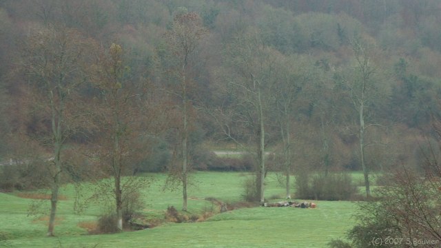 Clères (Vallée 2)