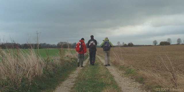 Beauval en Caux (Chemin 1)
