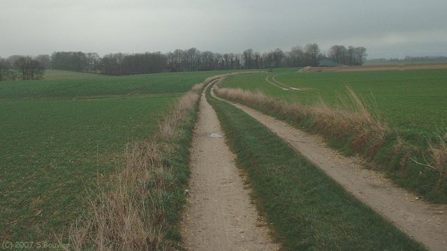 Beauval en Caux (Chemin 2)