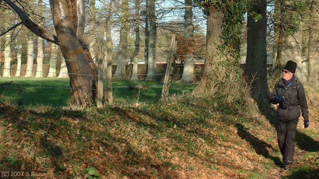 Blosseville (Chemin 2)