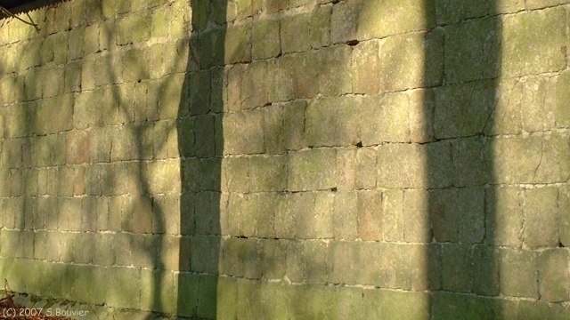 Angiens (Ombres 1)