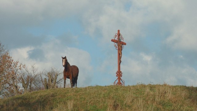 Angiens (Calvaire)