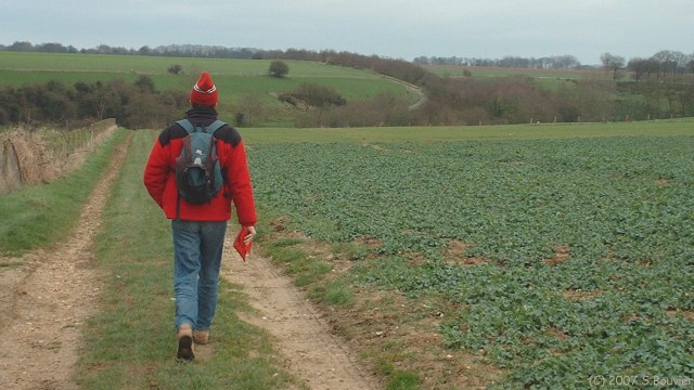 St Pierre le Viger (Chemin)