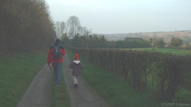 Offranville (Chemin 2)
