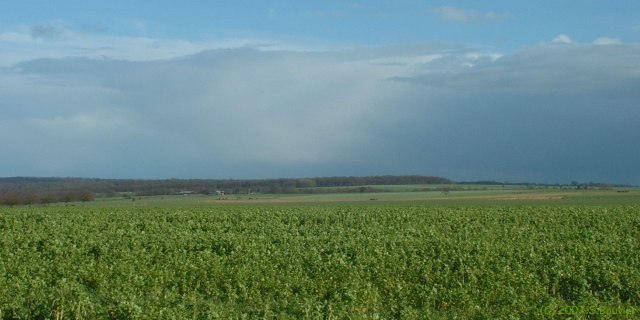 Franqueville St Pierre (Plaine)
