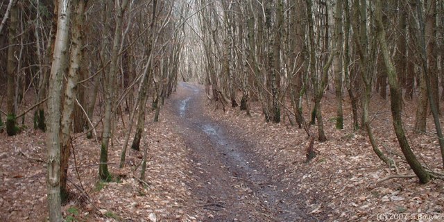 St Léger du Bourg Denis (Sentier)