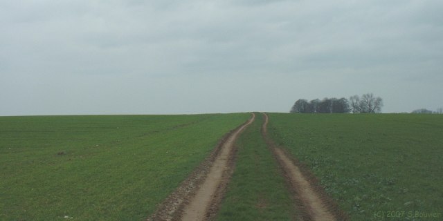 Montreuil en Caux (Chemin)