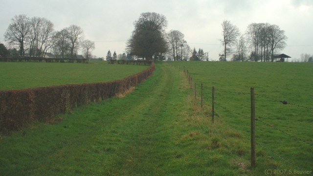 Grigneuseville (Chemin)