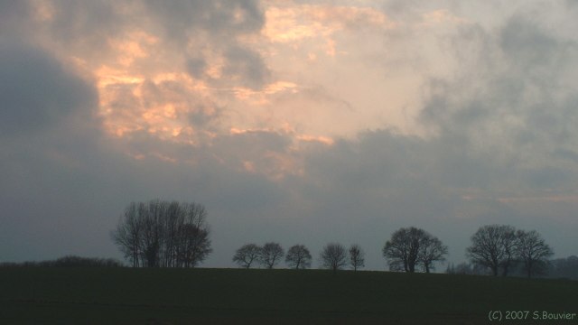 Bracquetuit (Les Mares)