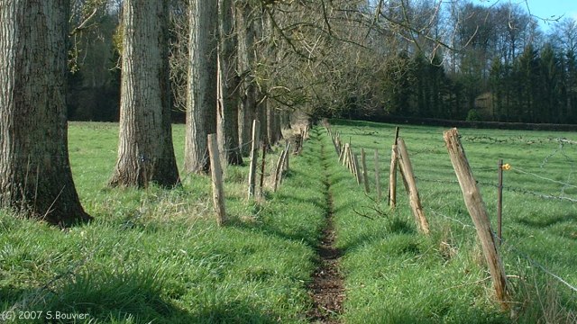 Torcy le Grand (Sentier)