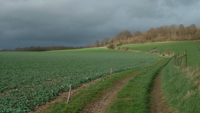 St Germain d'Etables (Chemin)