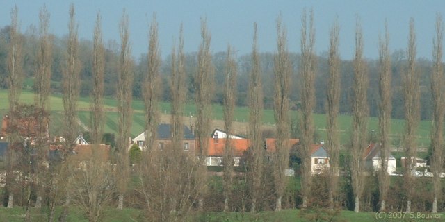 St Aubin le Cauf (Peupliers)
