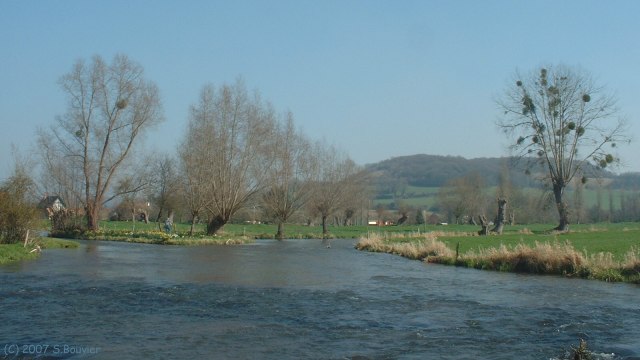 St Aubin le Cauf (Varenne)