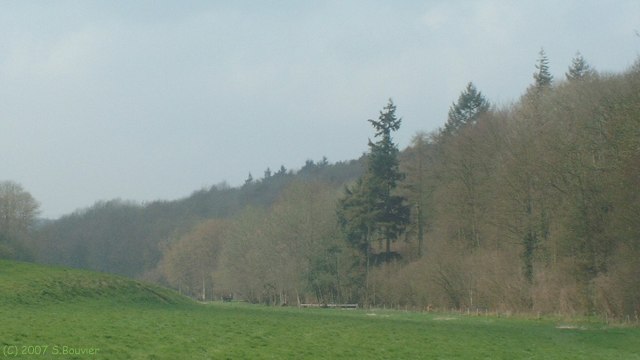 Longueville sur Scie (Fond 1)
