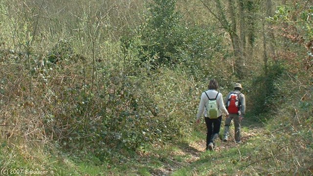 St Hellier (Bois Royal)